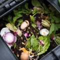 Compost Bin With Food Scraps And Grass Cuttings
