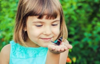 10 Plants to Give Butterflies a Boost