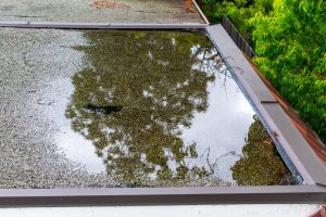 water sitting on top of roof not flowing off