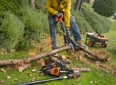 How to choose a chainsaw