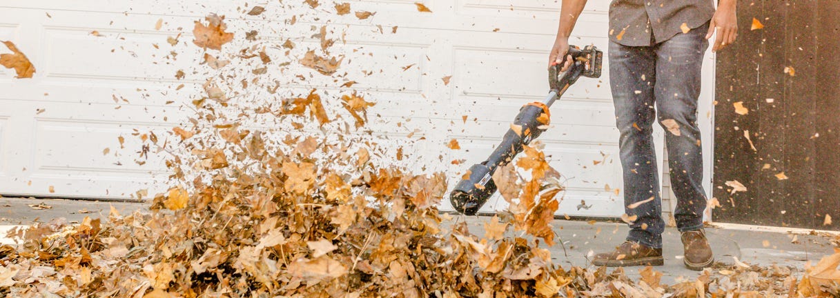 Worx Nitro Cordless Leaf Blower