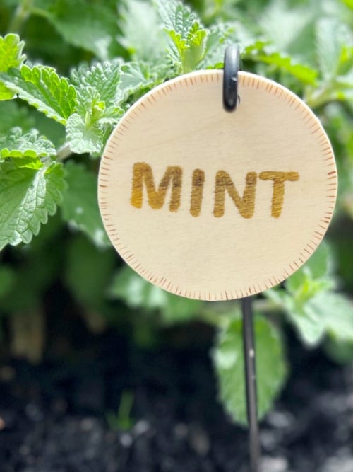 wood burned plant marker that says Mint on a plant