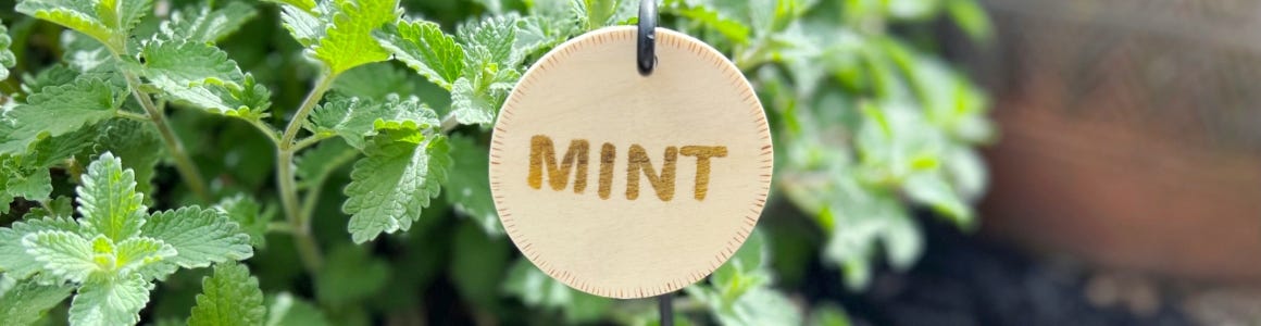 Wood burned reading mint hanging from mint tree