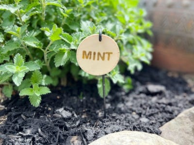 wood burned word mint on wood circle hanging from mint tree