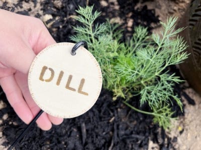 wood burned engraved word dill on circle wood piece 