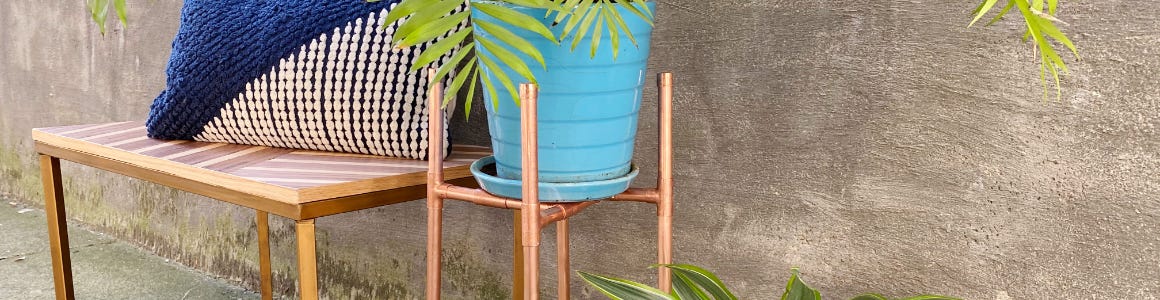 plant in blue pot sitting next to bench