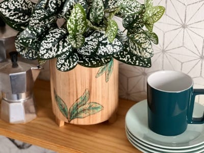 finsihed wood pot and plant inside on a counter shown from a different angle