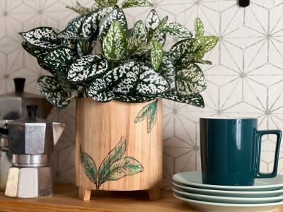 finsihed pot and plant inside on a counter next to a stack of plates and a cup