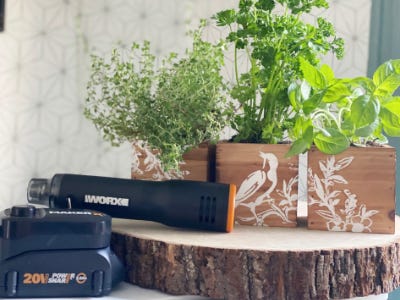 mini heat glue on wooden table stand with embossed wood blocks and plants