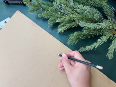 using pencil to make guidlines on cardboard next to plant