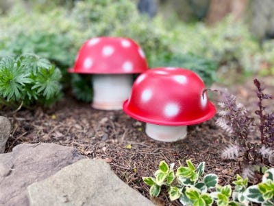 two red and white mushroom cans planted in dirt