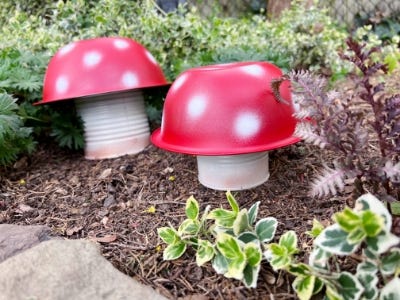 two red and white mushroom cans planted in dirt and next to plants