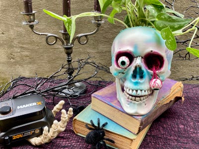 skull sitting on top of two books with spiders and candle plants next to it