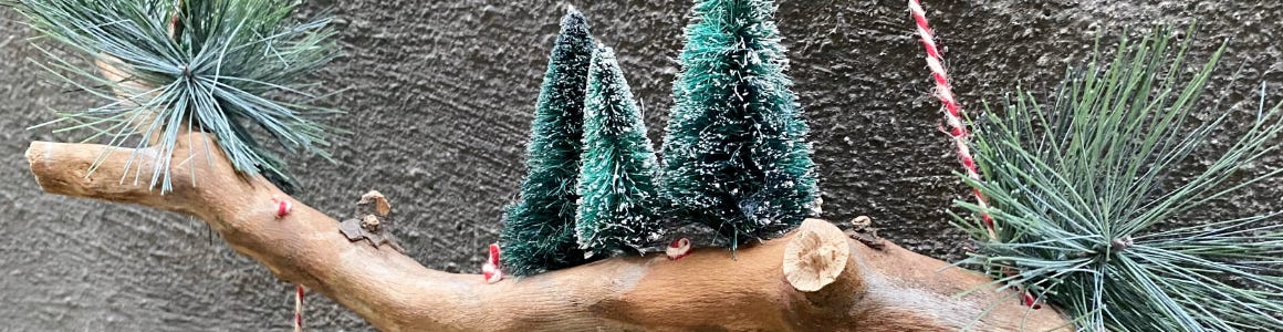 snowflake branch hanging from wall