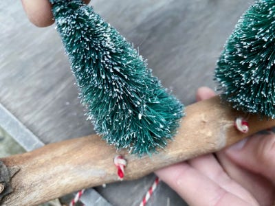 inserting Christmas tree into hole in tree