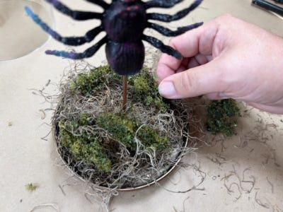 hand sticking stick of spider into grass cap filled