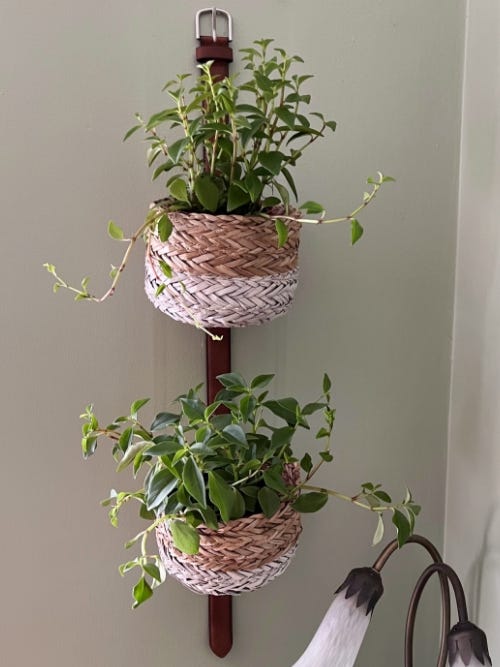 finished planter hanging on wall with plants