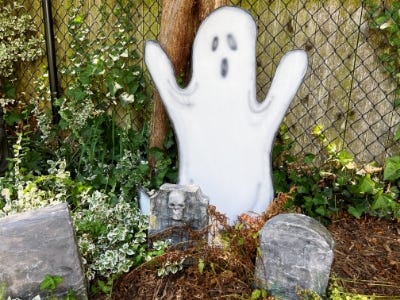 ghost in garden next to tombstones and in front of fence