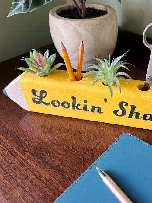 finsihed wooden pencil case on a desk with pencils and succulents