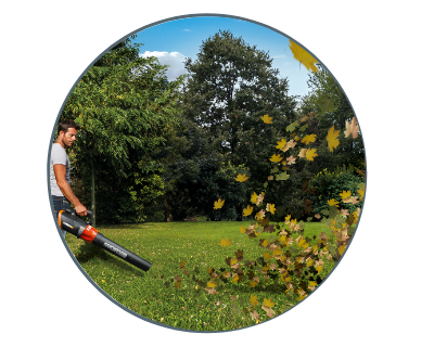 person cleaning leaves out of the yard