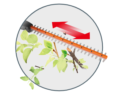 close up of the hedge trimmer cutting a hedge