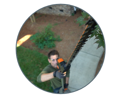 man using the hedge trimmer on a tall branch