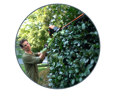 man using the hedge trimmer