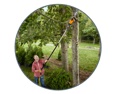 man with pole saw cutting tree branch in a field