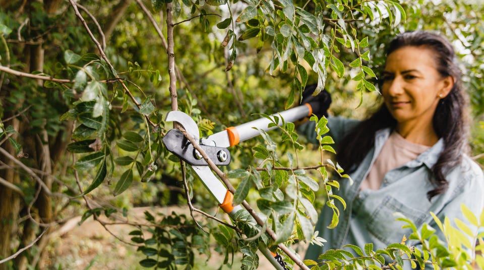 Worx lopper best sale